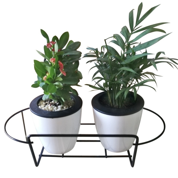 jacky1_1000x1000_1000x1000_750x750.jpg jacky1_1000x1000_1000x1000_750x750.jpg