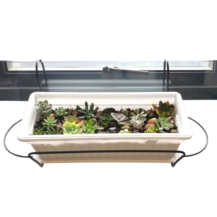 IMG_20180829_140340_1000x1000_750x750.jpg IMG_20180829_140340_1000x1000_750x750.jpg