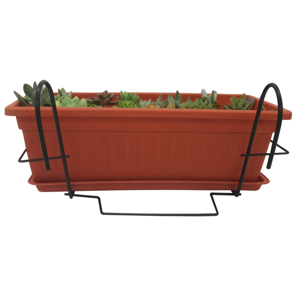 a1000x1000.jpg a1000x1000.jpg