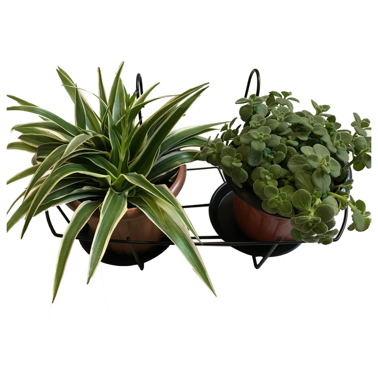 HHAIR03A_750x750.jpg HHAIR03A_750x750.jpg