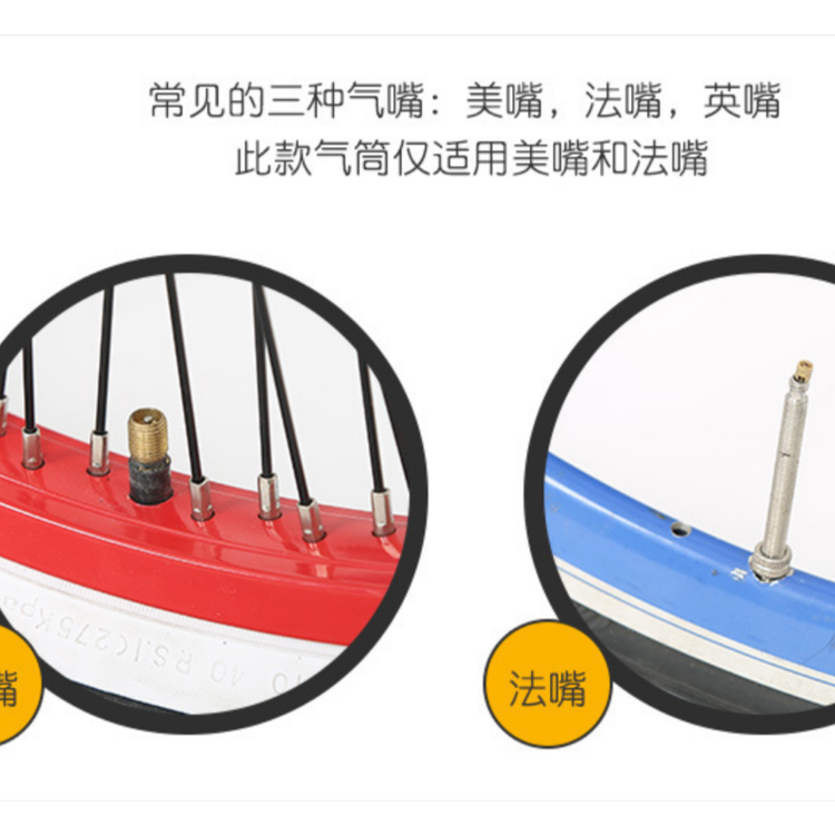 12_750x750_750x750.png 12_750x750_750x750.png